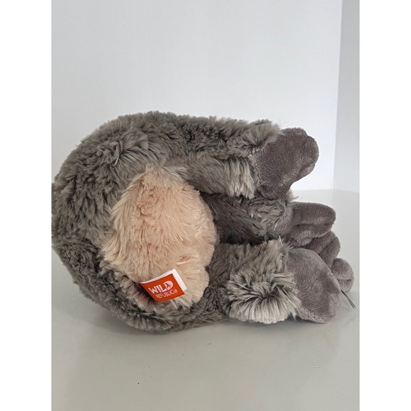 Wild Republic Koala Plush - Picture 5 of 8